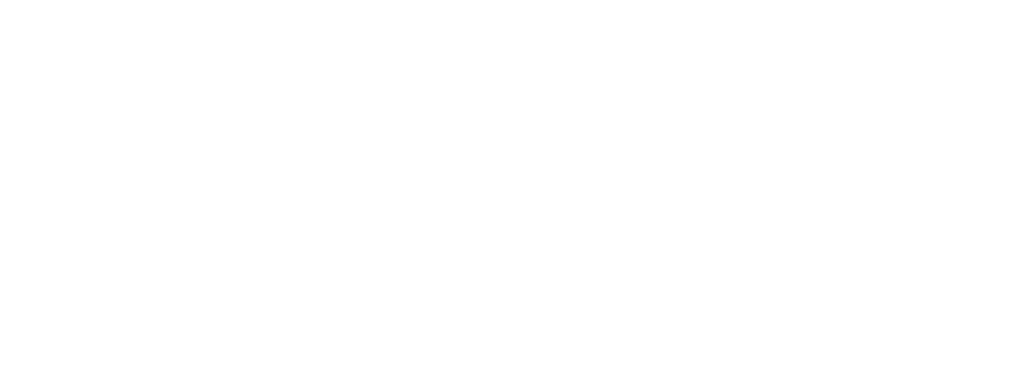 Logo BSV Blanc